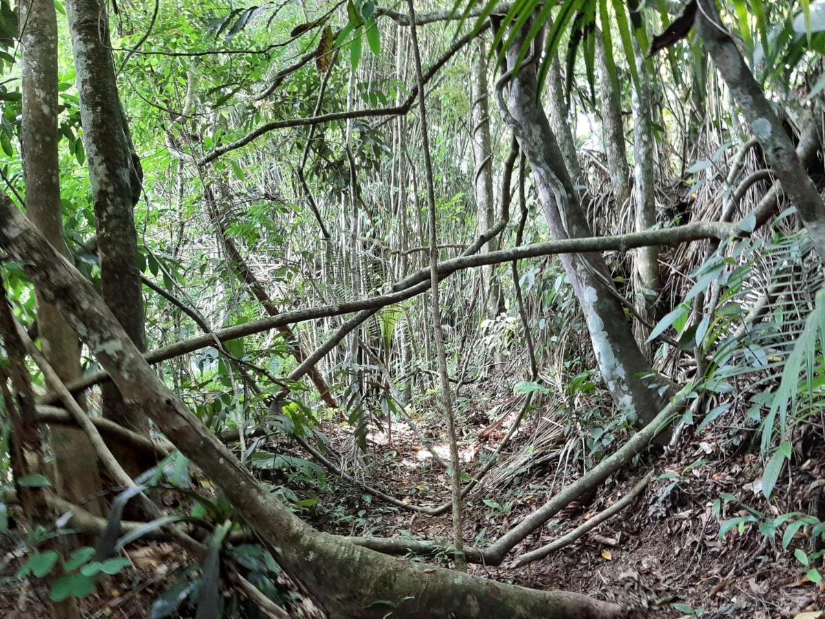 Casa Rosa Lumiar, Cachoeira Particular E Fazendinha Bagian luar foto